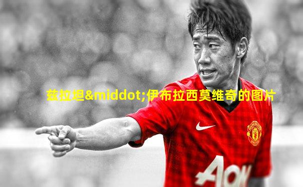 兹拉坦·伊布拉西莫维奇的图片