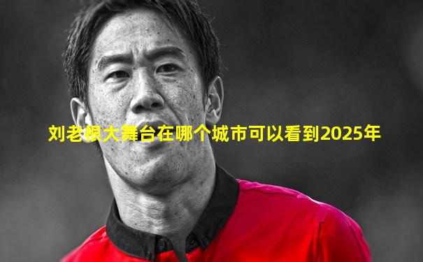 刘老根大舞台在哪个城市可以看到2025年