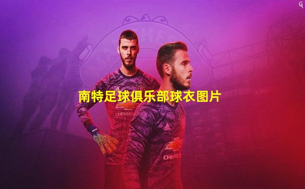 南特足球俱乐部球衣图片
