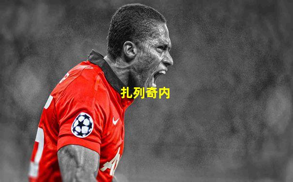 扎列奇内