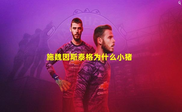 施魏因斯泰格为什么小猪