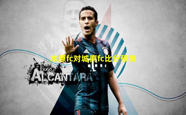 水原fc对城南fc比分预测