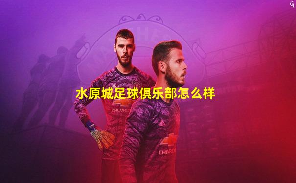 水原城足球俱乐部怎么样