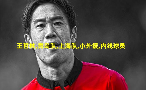 王哲林,青岛队,上海队,小外援,内线球员